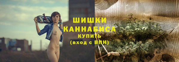 прущие грибы Балахна