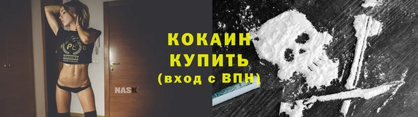 прущие грибы Балахна