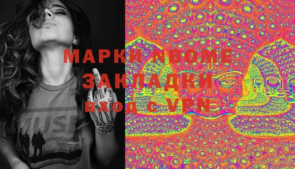 прущие грибы Балахна