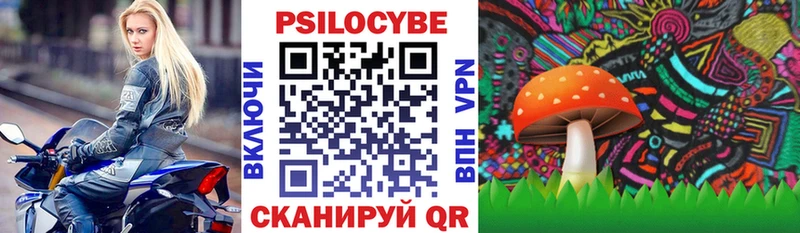 Купить где  Верхняя Тура  Галлюциногенные грибы Psilocybine cubensis 